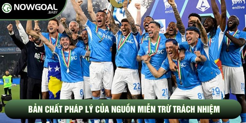 Bản chất pháp lý của nguồn miễn trừ trách nhiệm Bản chất pháp lý của nguồn miễn trừ trách nhiệm