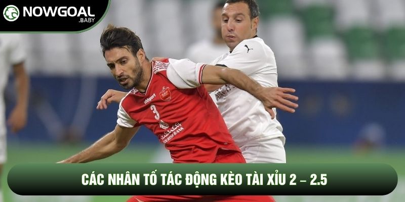 Các nhân tố tác động kèo tài xỉu 2 – 2.5 Các nhân tố tác động kèo tài xỉu 2 – 2.5
