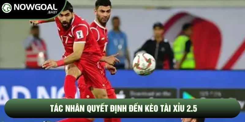 Tác nhân quyết định đến kèo tài xỉu 2.5 Tác nhân quyết định đến kèo tài xỉu 2.5