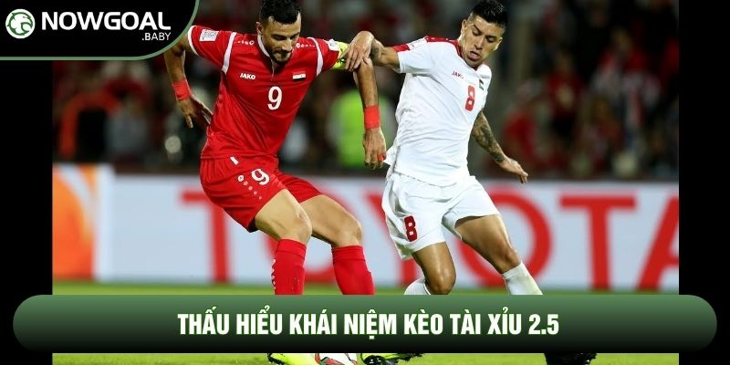 Thấu hiểu khái niệm kèo tài xỉu 2.5 Thấu hiểu khái niệm kèo tài xỉu 2.5