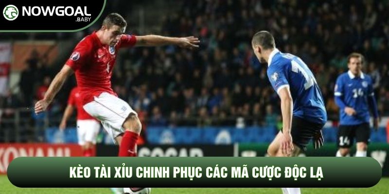 Kèo tài xỉu chinh phục các mã cược độc lạ