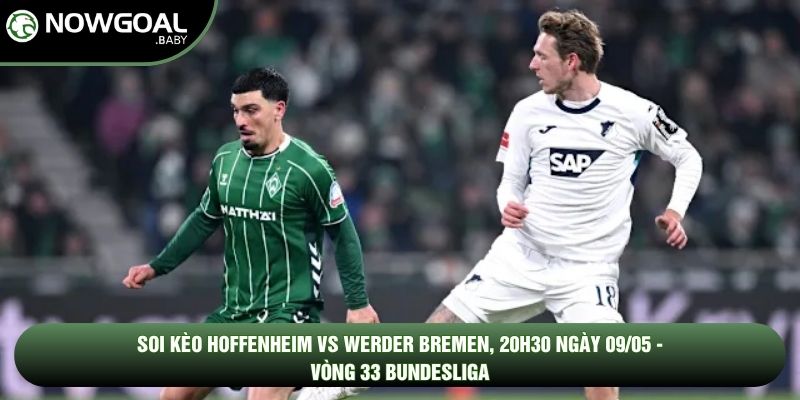 Soi Kèo Hoffenheim Vs Werder Bremen, 20h30 Ngày 09/05 - Vòng 33 Bundesliga