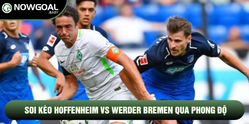 Soi Kèo Hoffenheim Vs Werder Bremen, 20h30 Ngày 09/05 - Vòng 33 Bundesliga 1 Soi kèo Hoffenheim vs Werder Bremen qua phong độ