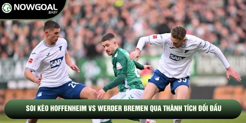 Soi Kèo Hoffenheim Vs Werder Bremen, 20h30 Ngày 09/05 - Vòng 33 Bundesliga 2 Soi kèo Hoffenheim vs Werder Bremen qua thành tích đối đầu